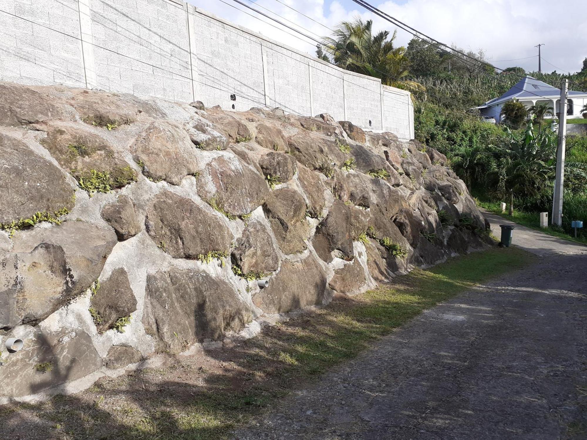 Awmony'Kaz, Gite A Trois-Rivieres Guadeloupe Kültér fotó